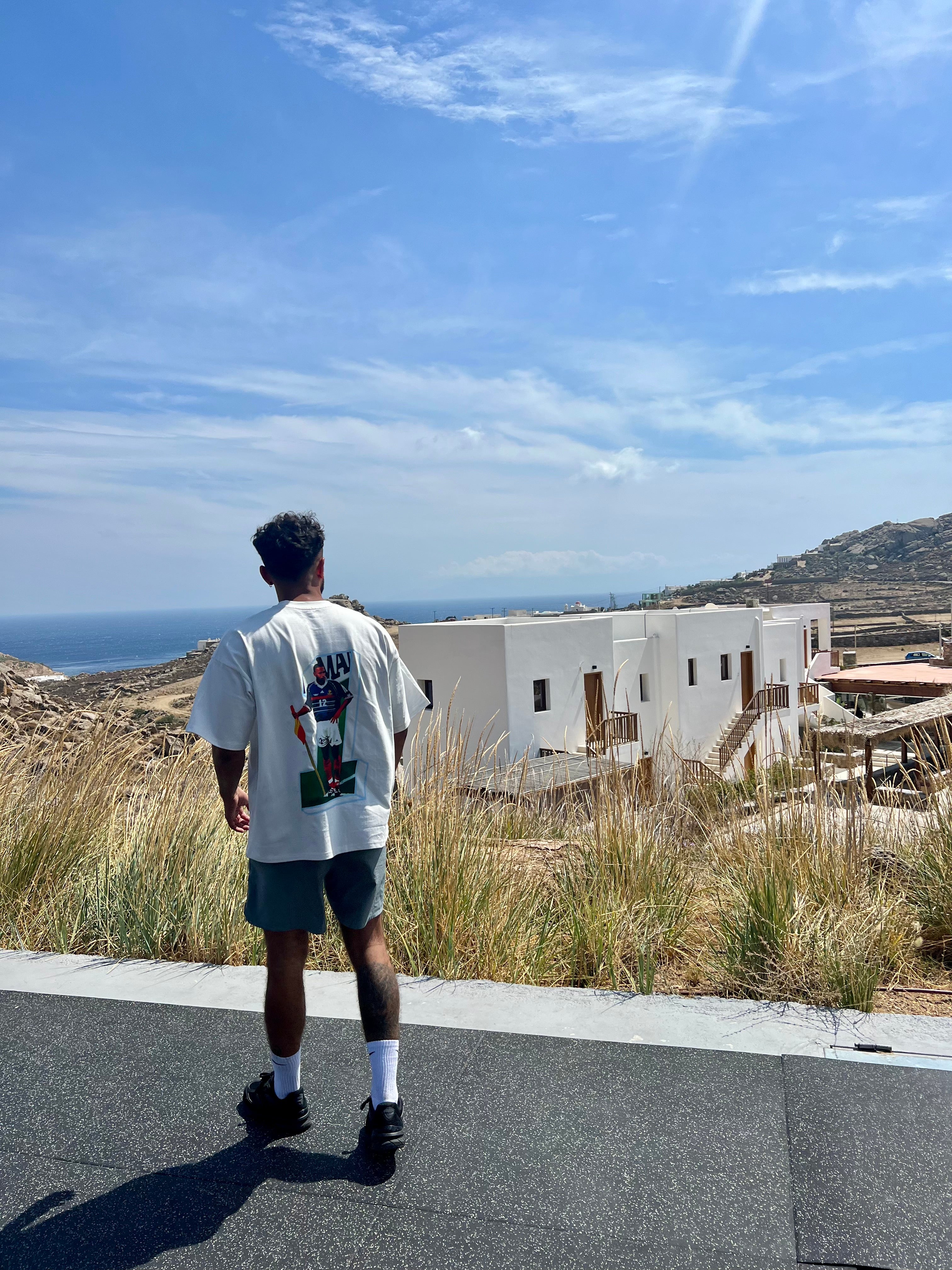 Mykonos hillside landscape overlooking the sea